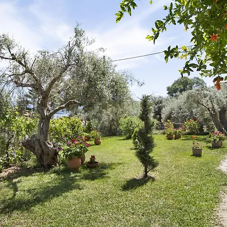 Tasoula With Mountain View דירה
