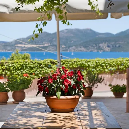 Tasoula With Mountain View Appartement *